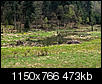 Kliknij obrazek, aby uzyskać większą wersję

Nazwa:	P5016617ol.jpg
Wyświetleń:	250
Rozmiar:	473,4 KB
ID:	87693