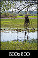 Kliknij obrazek, aby uzyskać większą wersję

Nazwa:	P5050404-3.jpg
Wyświetleń:	480
Rozmiar:	762,5 KB
ID:	87863