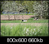 Kliknij obrazek, aby uzyskać większą wersję

Nazwa:	P5050418-5.jpg
Wyświetleń:	493
Rozmiar:	659,6 KB
ID:	87864