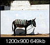Kliknij obrazek, aby uzyskać większą wersję

Nazwa:	P1060848.JPG
Wyświetleń:	67
Rozmiar:	649,4 KB
ID:	88770