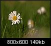 Kliknij obrazek, aby uzyskać większą wersję

Nazwa:	1220.jpg
Wyświetleń:	85
Rozmiar:	148,8 KB
ID:	89276