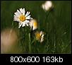 Kliknij obrazek, aby uzyskać większą wersję

Nazwa:	1221.jpg
Wyświetleń:	87
Rozmiar:	163,0 KB
ID:	89277