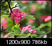 Kliknij obrazek, aby uzyskać większą wersję

Nazwa:	P5294002.JPG
Wyświetleń:	28
Rozmiar:	786,1 KB
ID:	89795