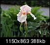 Kliknij obrazek, aby uzyskać większą wersję

Nazwa:	P5307320ol.jpg
Wyświetleń:	26
Rozmiar:	388,4 KB
ID:	89816