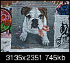 Kliknij obrazek, aby uzyskać większą wersję

Nazwa:	PC230029.jpg
Wyświetleń:	66
Rozmiar:	745,3 KB
ID:	89856