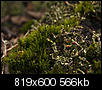 Kliknij obrazek, aby uzyskać większą wersję

Nazwa:	CM013863aamin.jpg
Wyświetleń:	596
Rozmiar:	565,9 KB
ID:	90206