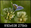 Kliknij obrazek, aby uzyskać większą wersję

Nazwa:	P6133700.jpg
Wyświetleń:	43
Rozmiar:	275,0 KB
ID:	90893