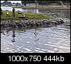 Kliknij obrazek, aby uzyskać większą wersję

Nazwa:	CM084043min.jpg
Wyświetleń:	160
Rozmiar:	444,2 KB
ID:	90920