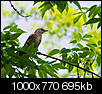Kliknij obrazek, aby uzyskać większą wersję

Nazwa:	1.jpg
Wyświetleń:	184
Rozmiar:	694,6 KB
ID:	91148