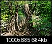 Kliknij obrazek, aby uzyskać większą wersję

Nazwa:	18.jpg
Wyświetleń:	86
Rozmiar:	683,6 KB
ID:	91679