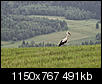 Kliknij obrazek, aby uzyskać większą wersję

Nazwa:	P6263879ol.jpg
Wyświetleń:	226
Rozmiar:	490,7 KB
ID:	91888