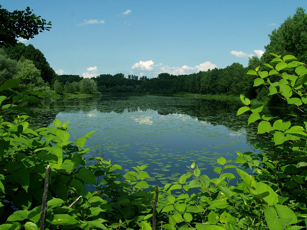 Kliknij obrazek, aby uzyskać większą wersję

Nazwa:	P0295220a.JPG
Wyświetleń:	97
Rozmiar:	763,2 KB
ID:	92299