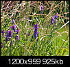 Kliknij obrazek, aby uzyskać większą wersję

Nazwa:	P7045359.JPG
Wyświetleń:	37
Rozmiar:	924,5 KB
ID:	92508