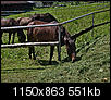 Kliknij obrazek, aby uzyskać większą wersję

Nazwa:	P7048622ol.jpg
Wyświetleń:	283
Rozmiar:	550,8 KB
ID:	92512