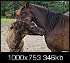 Kliknij obrazek, aby uzyskać większą wersję

Nazwa:	P7074214ol.jpg
Wyświetleń:	153
Rozmiar:	345,8 KB
ID:	92711