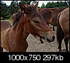 Kliknij obrazek, aby uzyskać większą wersję

Nazwa:	P7074194ol.jpg
Wyświetleń:	161
Rozmiar:	296,7 KB
ID:	92769