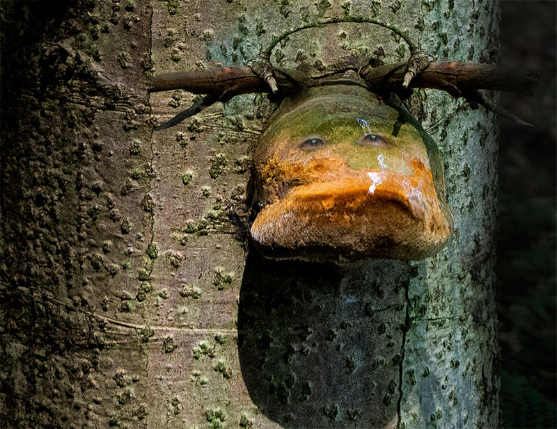 Nazwa:  japa.jpg
Wyświetleń: 111
Rozmiar:  186,5 KB