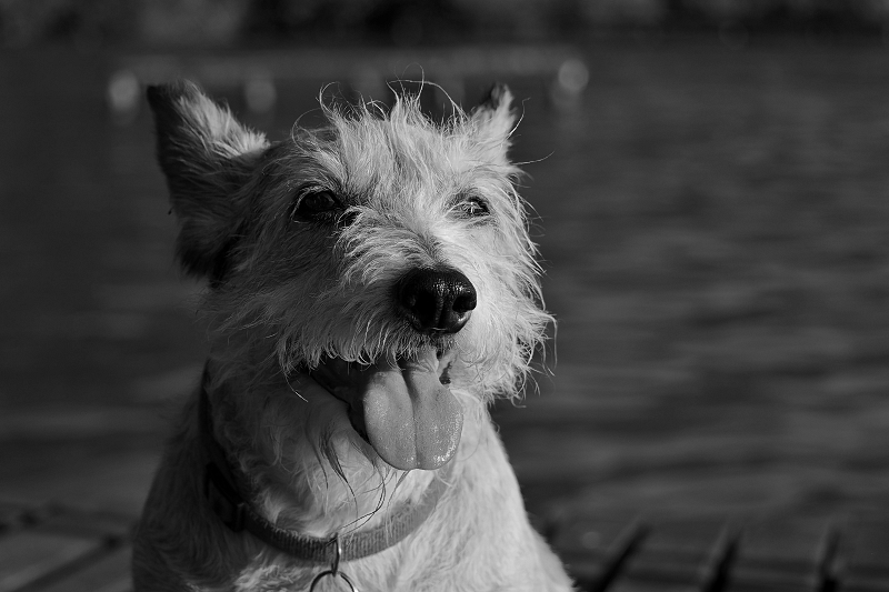 Nazwa:  P6221376-Resizer-800Q100M.jpg
Wyświetleń: 113
Rozmiar:  233,4 KB