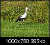 Kliknij obrazek, aby uzyskać większą wersję

Nazwa:	9m.jpg
Wyświetleń:	170
Rozmiar:	394,8 KB
ID:	93340