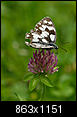 Kliknij obrazek, aby uzyskać większą wersję

Nazwa:	P7285569ol.jpg
Wyświetleń:	646
Rozmiar:	750,0 KB
ID:	93388