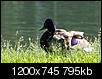 Kliknij obrazek, aby uzyskać większą wersję

Nazwa:	P6144239.JPG
Wyświetleń:	182
Rozmiar:	795,2 KB
ID:	93644