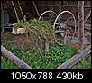Kliknij obrazek, aby uzyskać większą wersję

Nazwa:	P7269028ol.jpg
Wyświetleń:	107
Rozmiar:	429,9 KB
ID:	93732