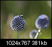 Kliknij obrazek, aby uzyskać większą wersję

Nazwa:	Wyspa_kwiatĂłw_11.jpg
Wyświetleń:	96
Rozmiar:	381,0 KB
ID:	94007