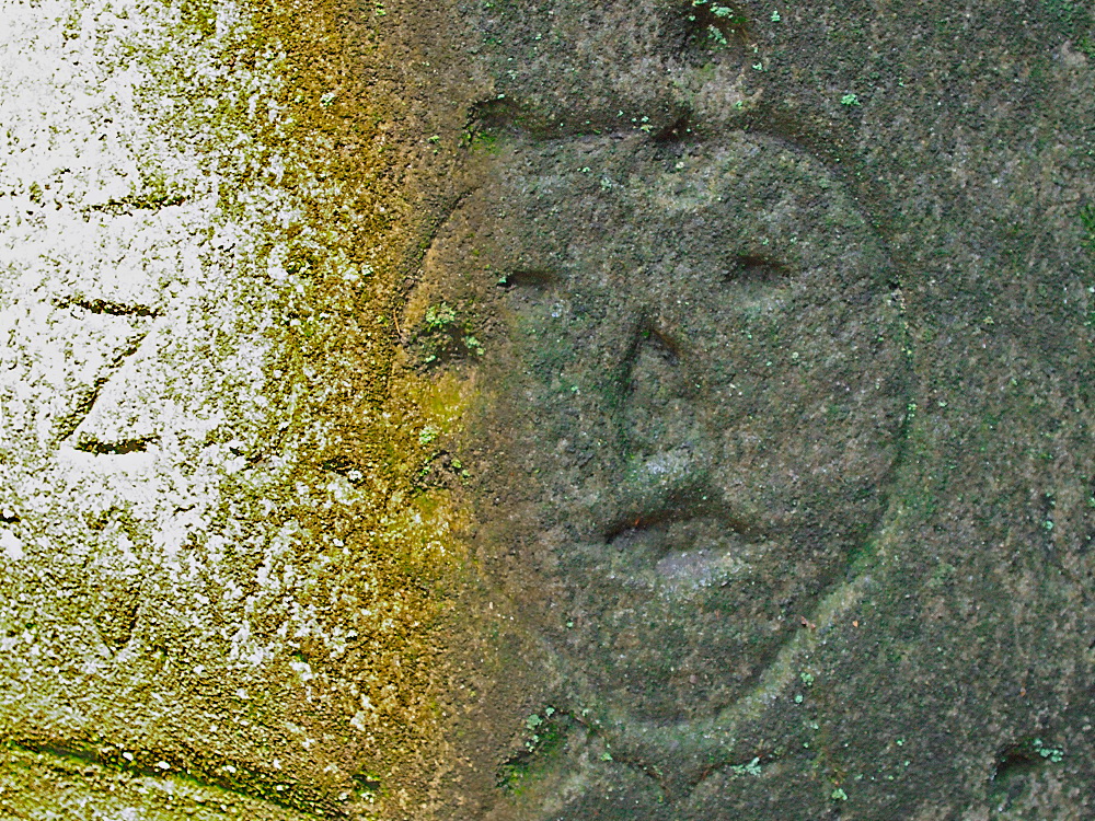 Kliknij obrazek, aby uzyskać większą wersję

Nazwa:	27_P7286975.jpg
Wyświetleń:	1474
Rozmiar:	530,1 KB
ID:	94033