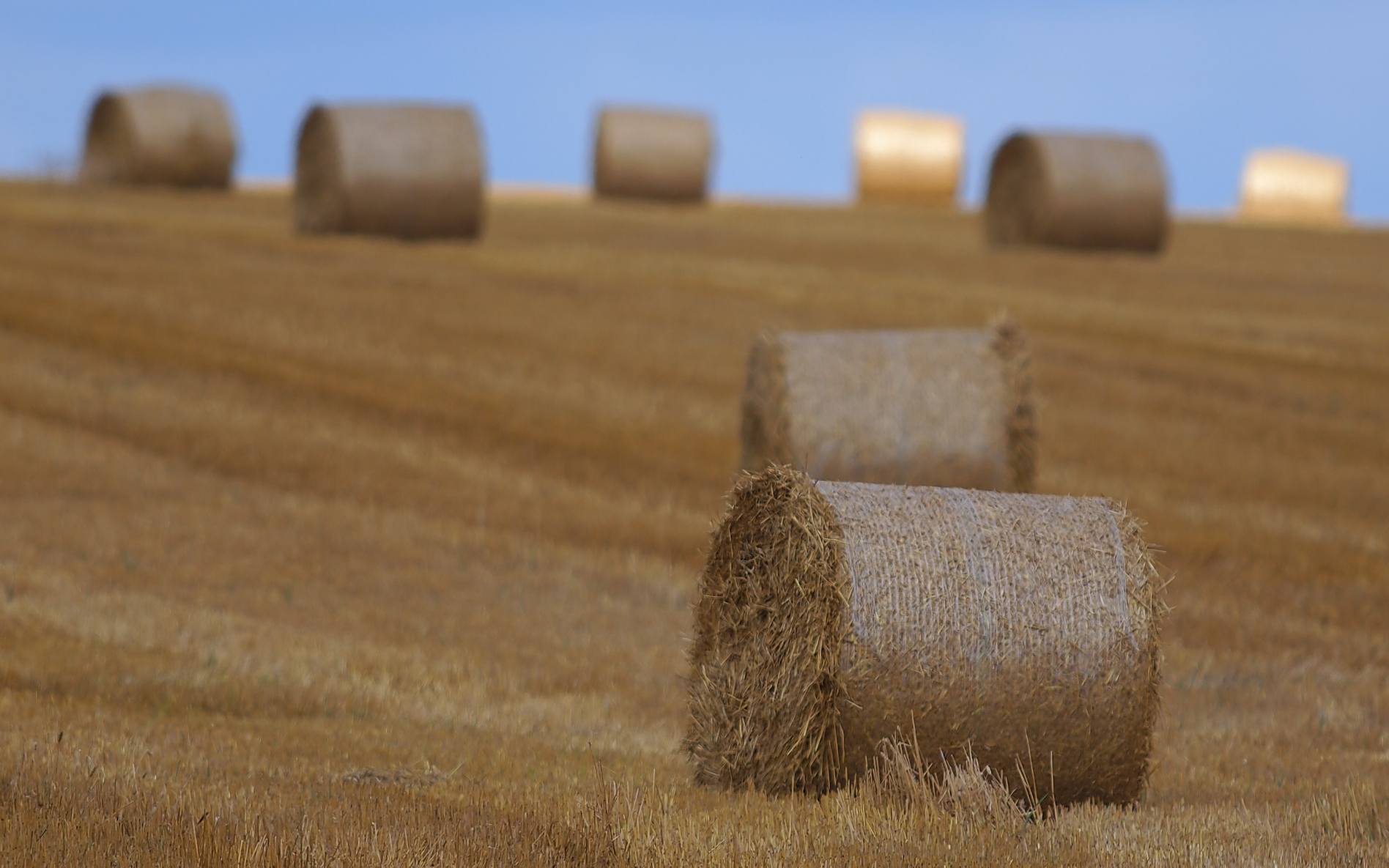 Kliknij obrazek, aby uzyskać większą wersję

Nazwa:	P8210044.jpg
Wyświetleń:	154
Rozmiar:	722,0 KB
ID:	96191