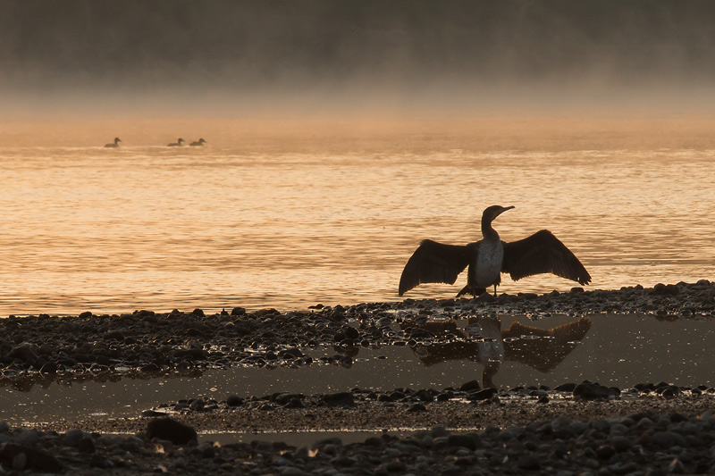 Nazwa:  OM13-08-3-142-wex2.jpg
Wyświetleń: 141
Rozmiar:  146,2 KB