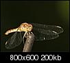 Kliknij obrazek, aby uzyskać większą wersję

Nazwa:	1249.jpg
Wyświetleń:	94
Rozmiar:	200,4 KB
ID:	96328