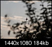 Kliknij obrazek, aby uzyskać większą wersję

Nazwa:	P8235484.jpg
Wyświetleń:	69
Rozmiar:	183,5 KB
ID:	96393