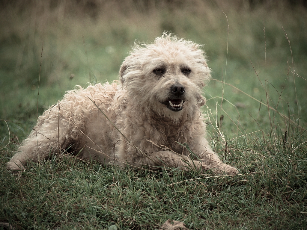 Nazwa:  P8130850e.jpg
Wyświetleń: 155
Rozmiar:  707,1 KB