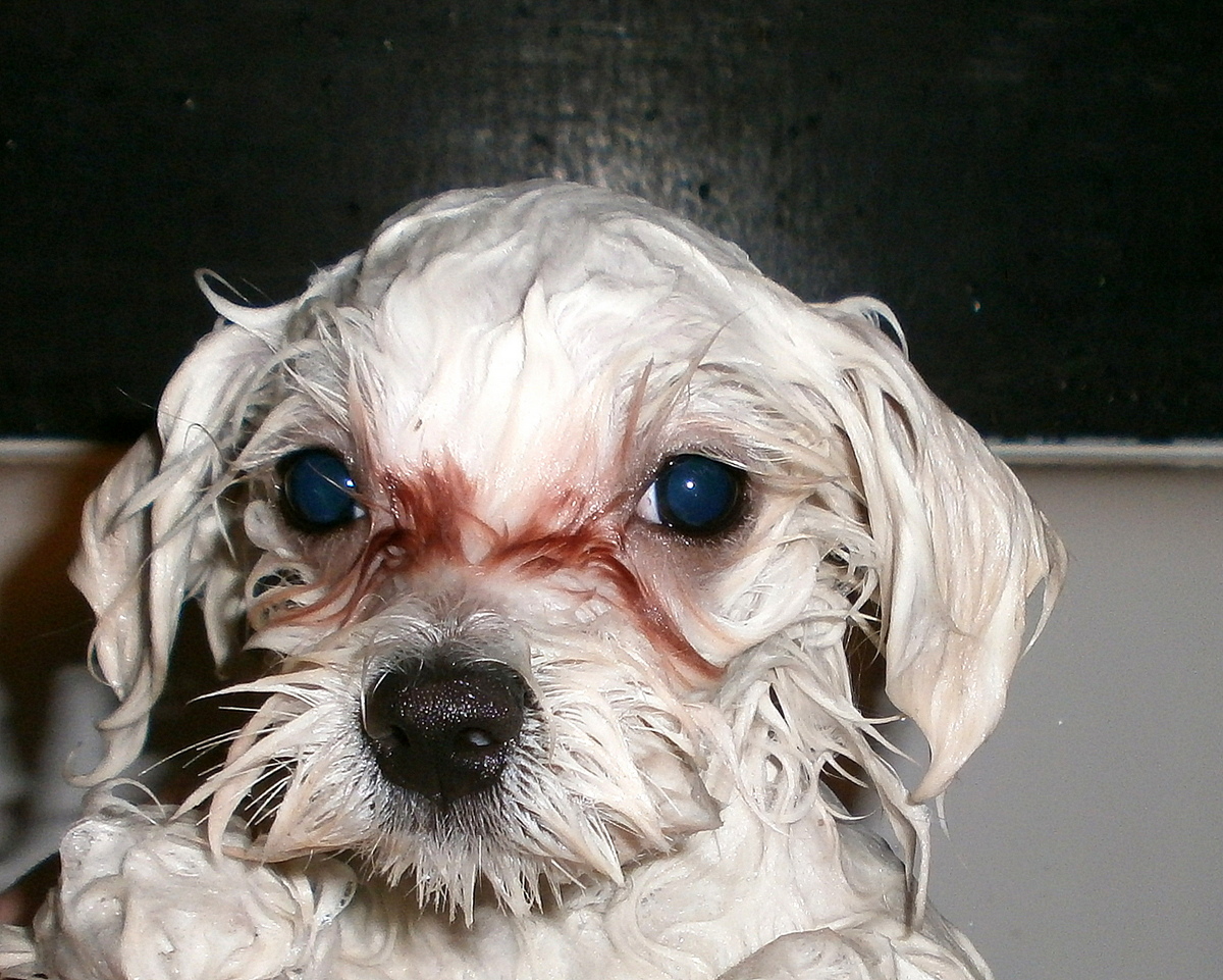 Nazwa:  P3011209.JPG
Wyświetleń: 147
Rozmiar:  529,1 KB