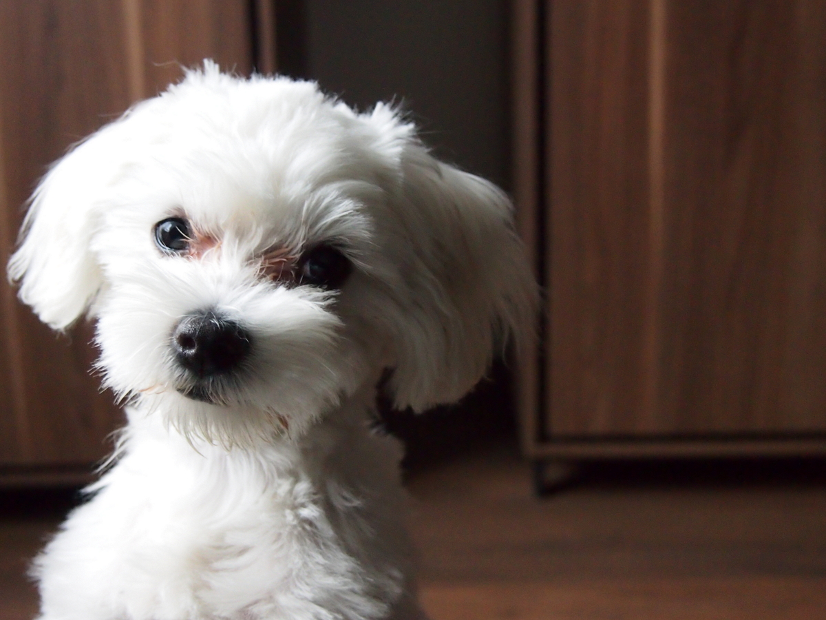 Nazwa:  P5012872.JPG
Wyświetleń: 150
Rozmiar:  751,9 KB