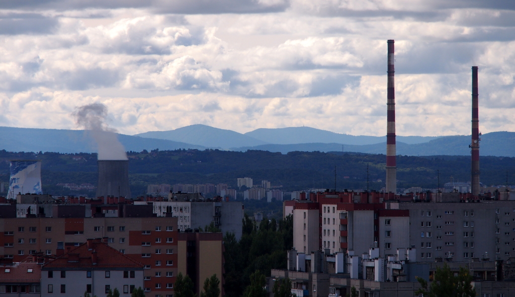 Nazwa:  P9149440.JPG
Wyświetleń: 170
Rozmiar:  469,6 KB