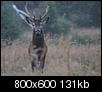 Kliknij obrazek, aby uzyskać większą wersję

Nazwa:	_MG_7311_1.jpg
Wyświetleń:	73
Rozmiar:	130,8 KB
ID:	99963