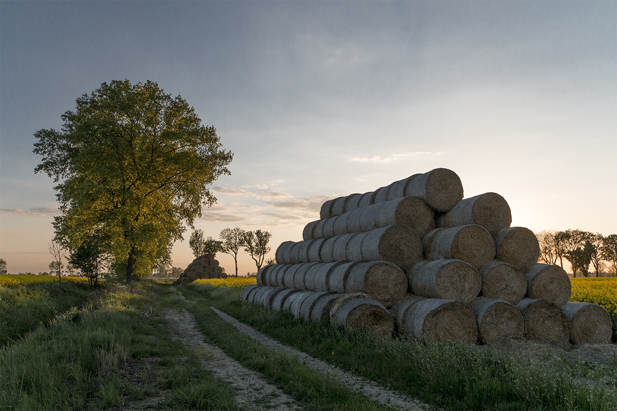 Nazwa:  07.jpg
Wyświetleń: 554
Rozmiar:  547,3 KB