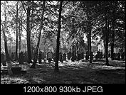 Kliknij obrazek, aby uzyskać większą wersję

Nazwa:	P5030528.jpg
Wyświetleń:	46
Rozmiar:	930,3 KB
ID:	200512