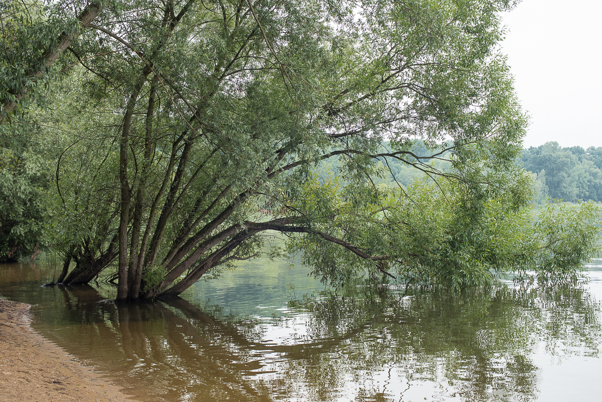 Nazwa:  Of-550.jpg
Wyświetleń: 133
Rozmiar:  3,57 MB