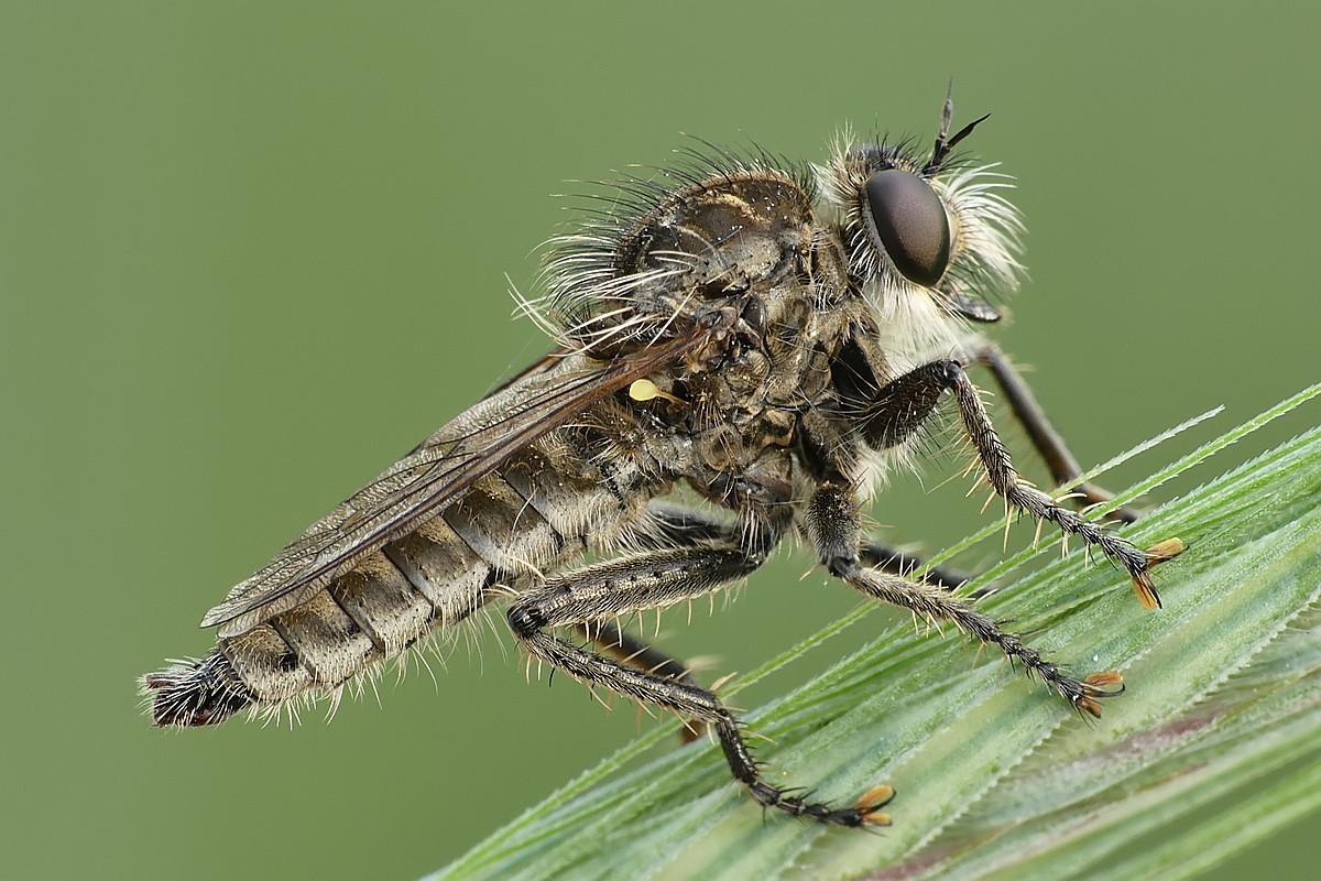 Nazwa:  lowik22361cf.jpg
Wyświetleń: 558
Rozmiar:  234,1 KB