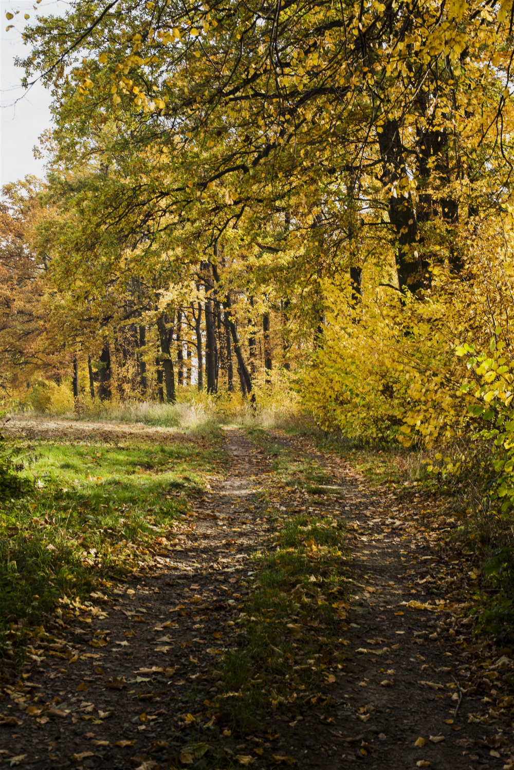 Nazwa:  Of-567.jpg
Wyświetleń: 167
Rozmiar:  2,67 MB