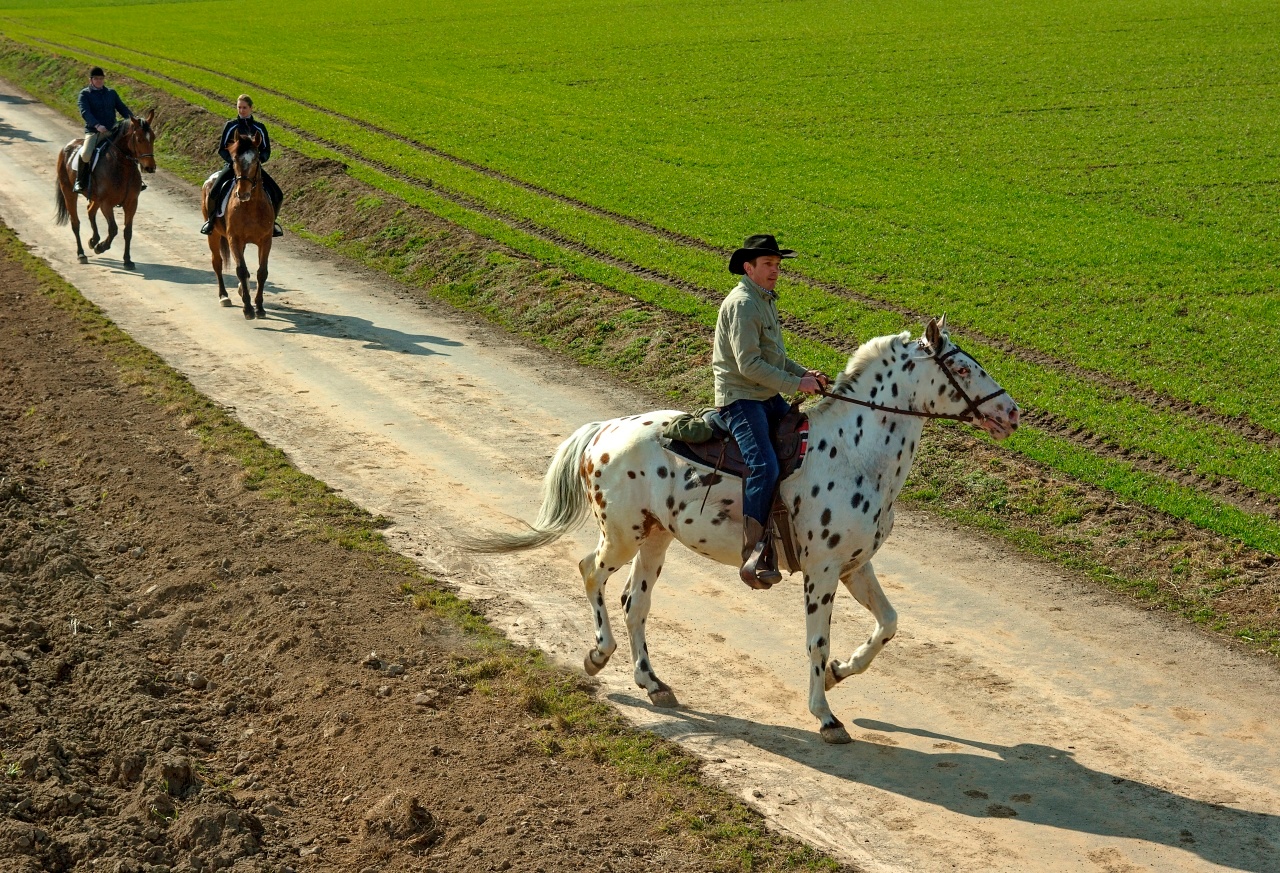 Nazwa:  06.jpg
Wyświetleń: 566
Rozmiar:  714,0 KB