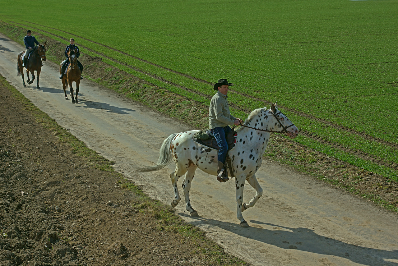 Nazwa:  09.jpg
Wyświetleń: 517
Rozmiar:  498,0 KB