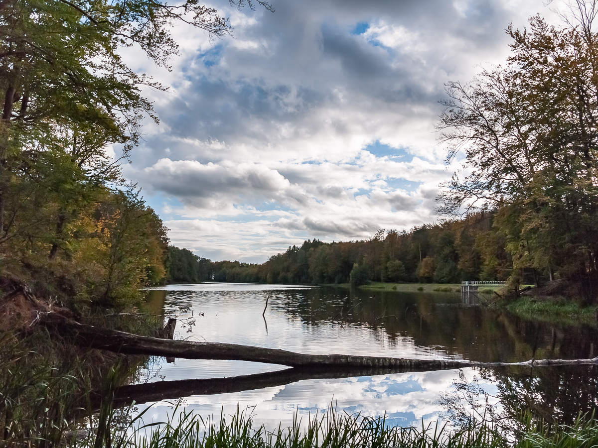 Nazwa:  13.jpg
Wyświetleń: 395
Rozmiar:  1,02 MB