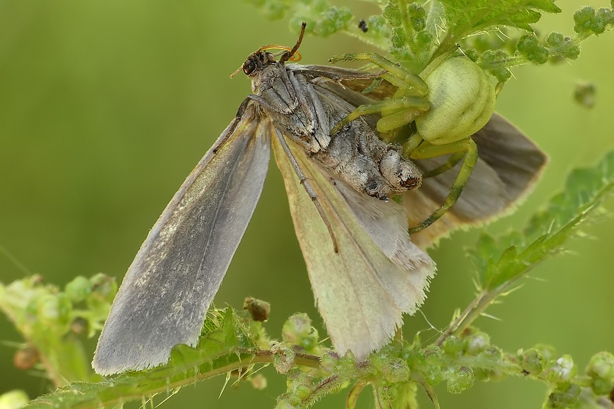 Nazwa:  kwietnik47635cf.jpg
Wyświetleń: 217
Rozmiar:  218,4 KB