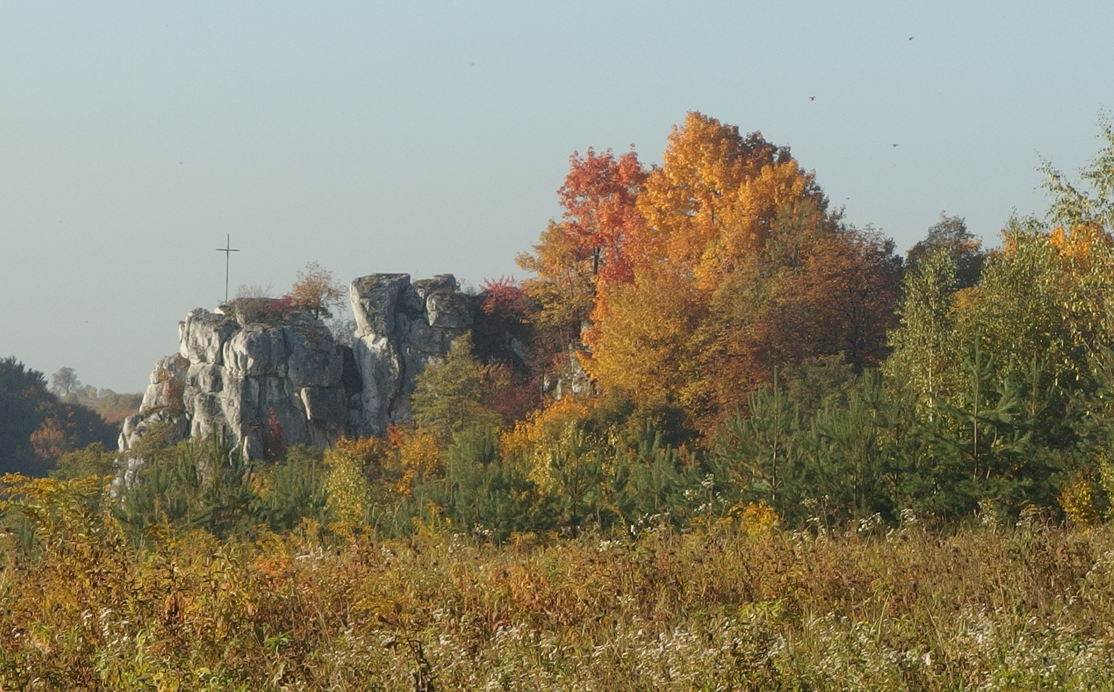 Kliknij obrazek, aby uzyskać większą wersję

Nazwa:	PA243437.JPG
Wyświetleń:	21104
Rozmiar:	647,2 KB
ID:	159972