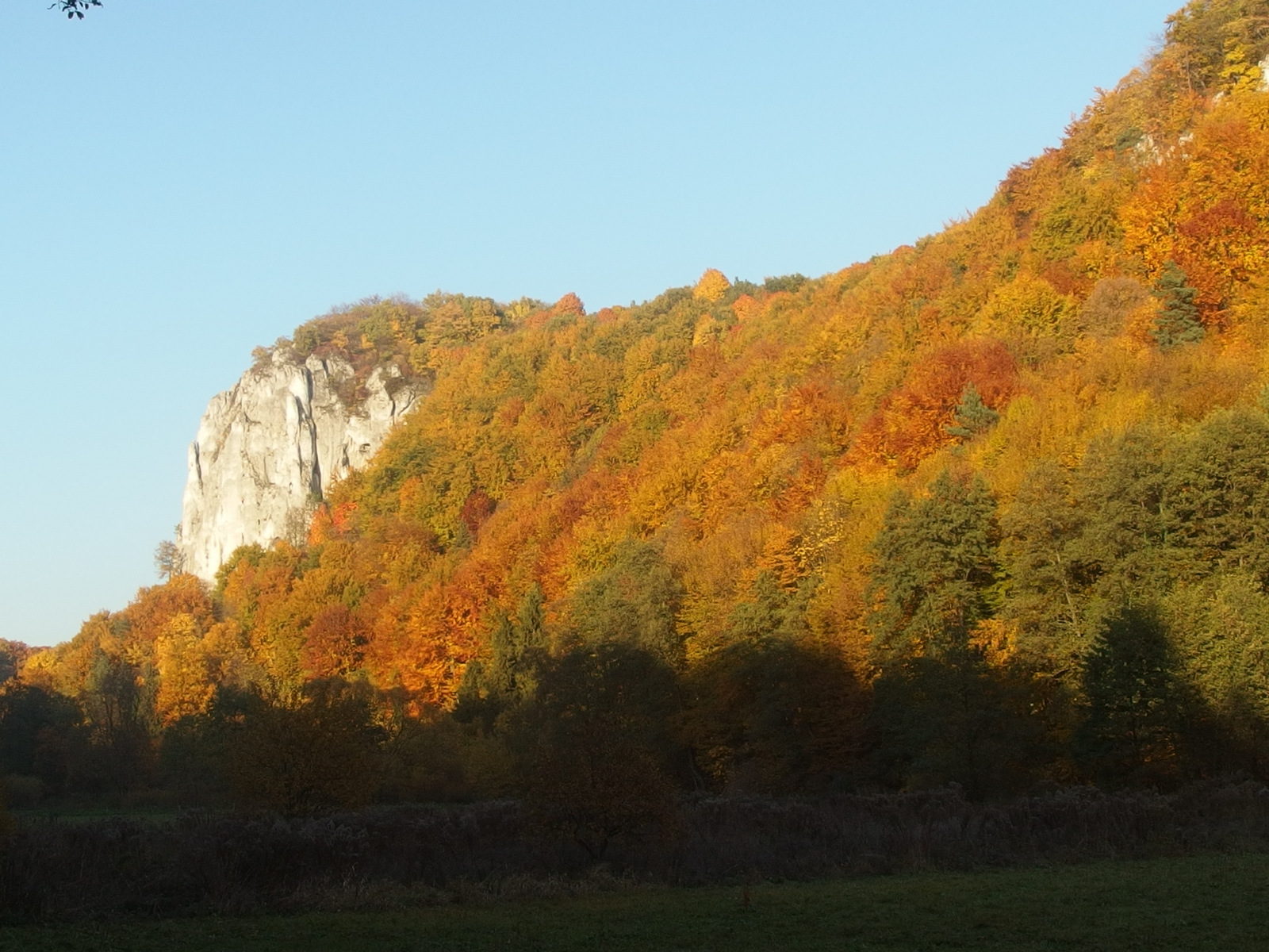 Kliknij obrazek, aby uzyskać większą wersję

Nazwa:	PA243458.JPG
Wyświetleń:	21129
Rozmiar:	596,0 KB
ID:	159977