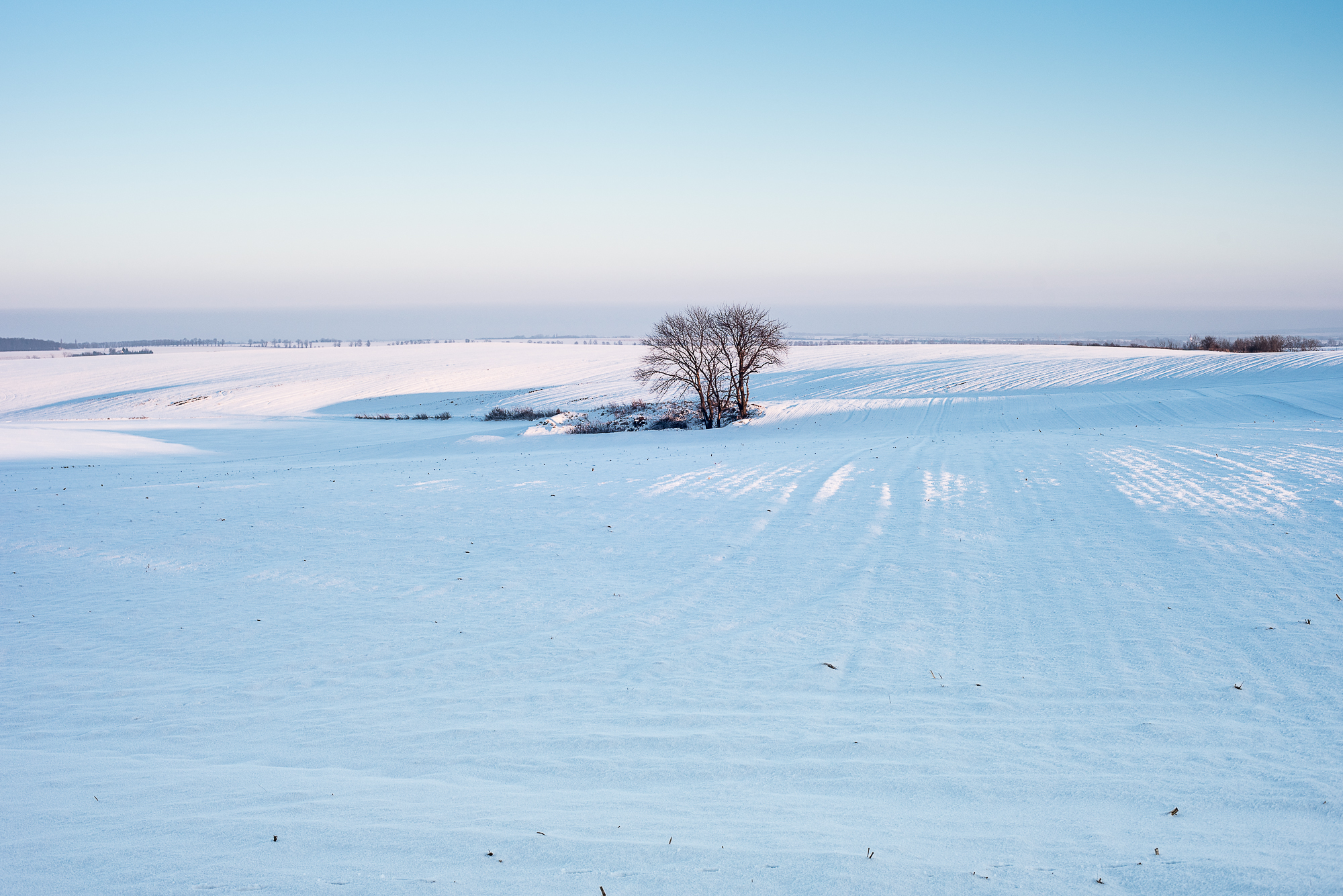 Nazwa:  Of-508.jpg
Wyświetleń: 151
Rozmiar:  1,87 MB