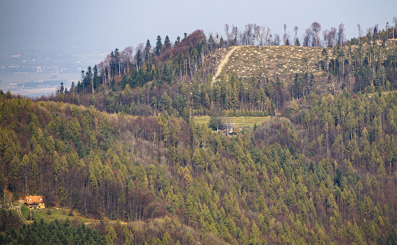 Nazwa:  03.jpg
Wyświetleń: 275
Rozmiar:  1,74 MB